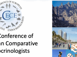 Save the date for the next Conference of European Comparative Endocrinologists (CECE)