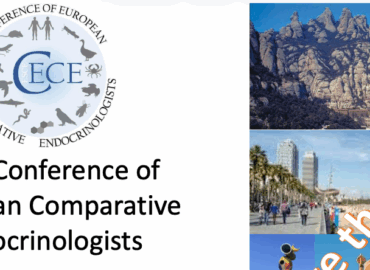 Save the date for the next Conference of European Comparative Endocrinologists (CECE)