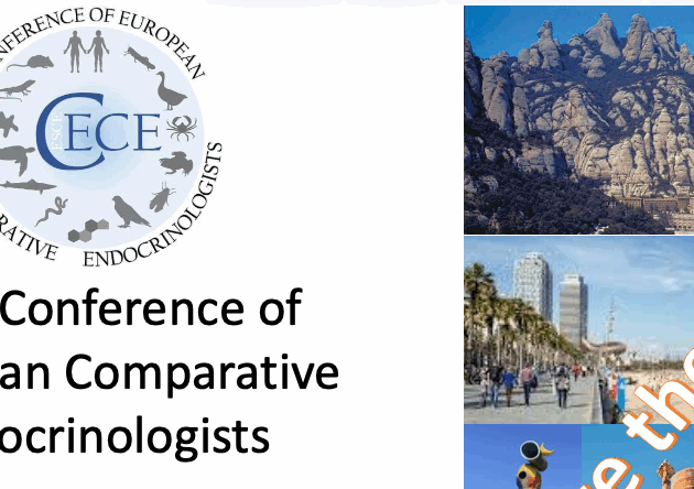 Save the date for the next Conference of European Comparative Endocrinologists (CECE)