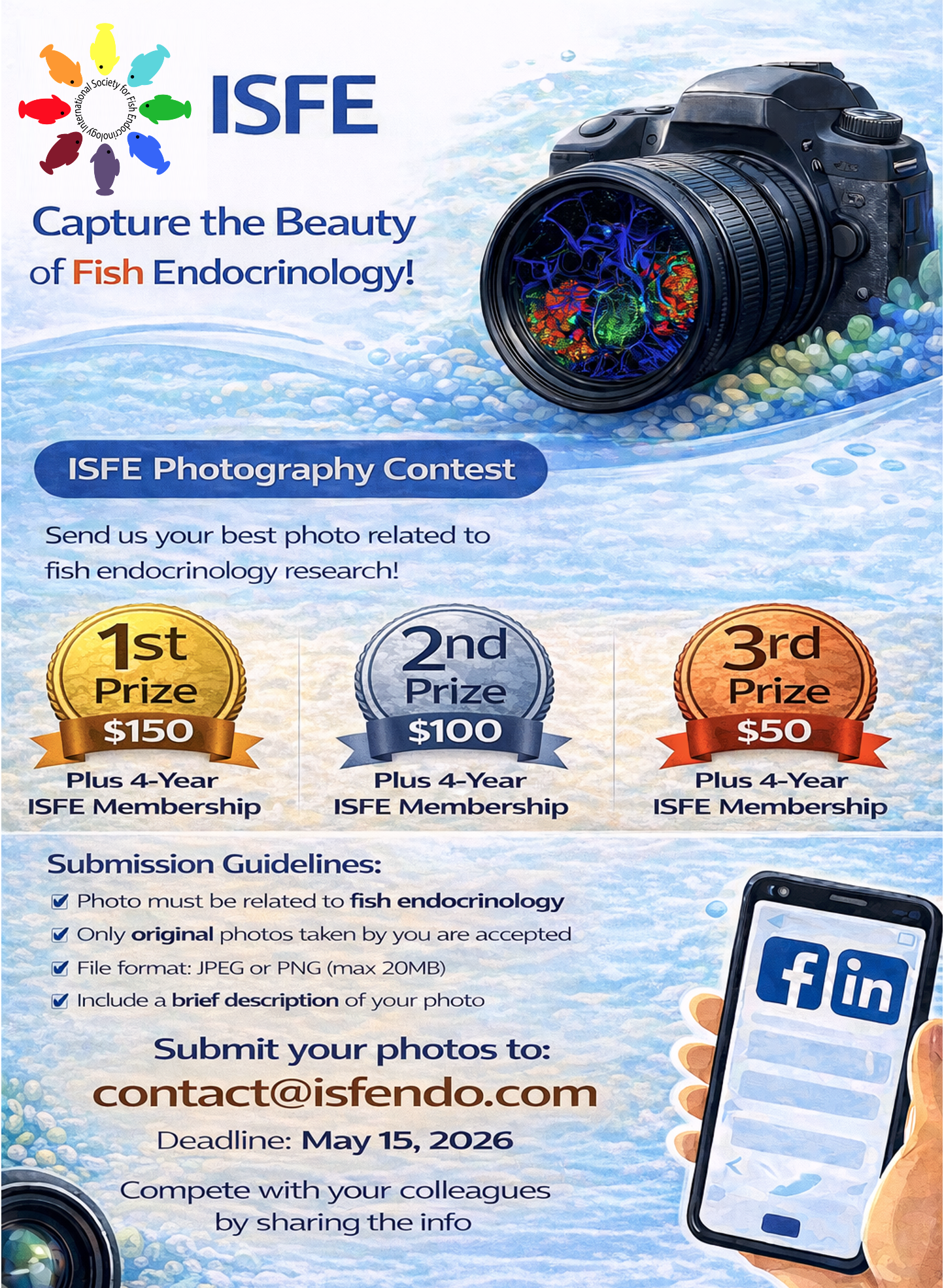 flyer ISFE contest